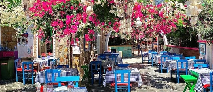 Tzatziki Tavern